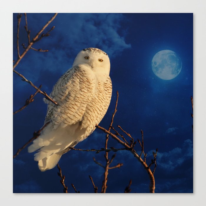 The owl and mystical moon Canvas Print