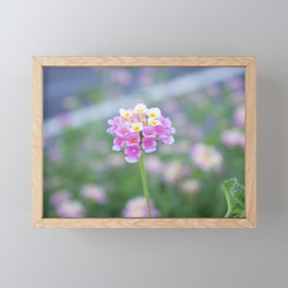 Springtime Bloom Framed Mini Art Print