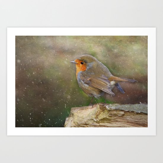 Robin red breast Art Print