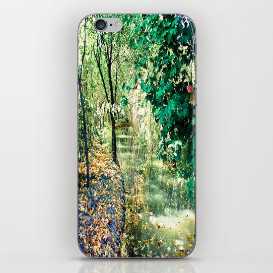 Hidden Autumn Creek iPhone & iPod Skin