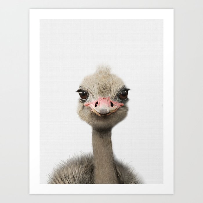 Ostrich Print Baby Animal Nursery Art Animal Prints Nursery Print Art Print By Niki Neo Society6