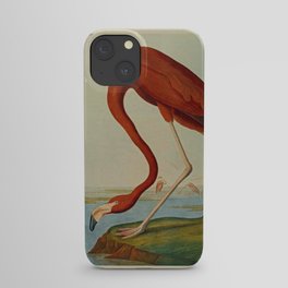 American Flamingo by John Audubon (1785 – 1851) Reproduction. iPhone Case
