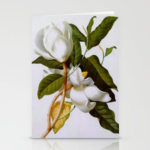 Vintage Botanical White Magnolia Flower Art Stationery Cards