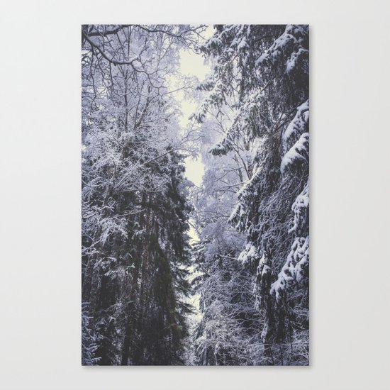Freezing rastafaris Canvas Print