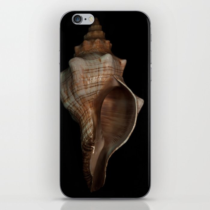 shell iPhone Skin