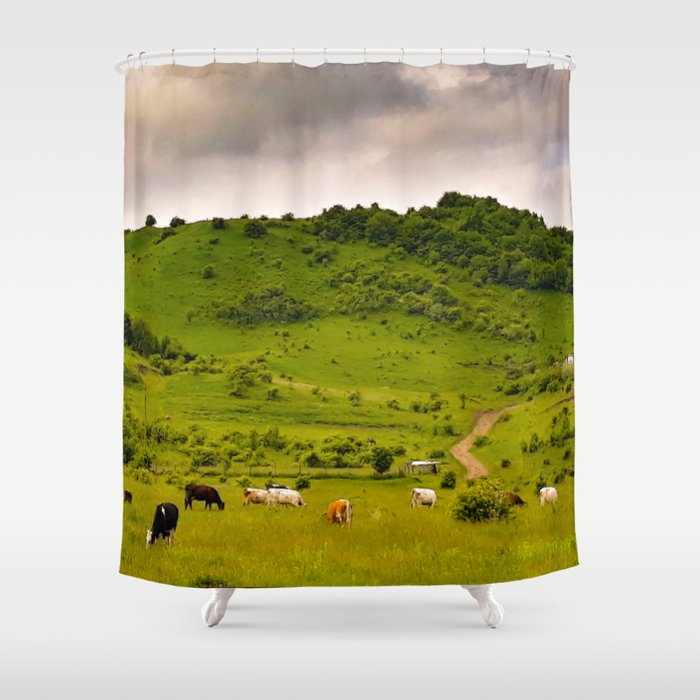 Countryside landscape Shower Curtain