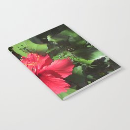 Hibiscus Flower Notebook