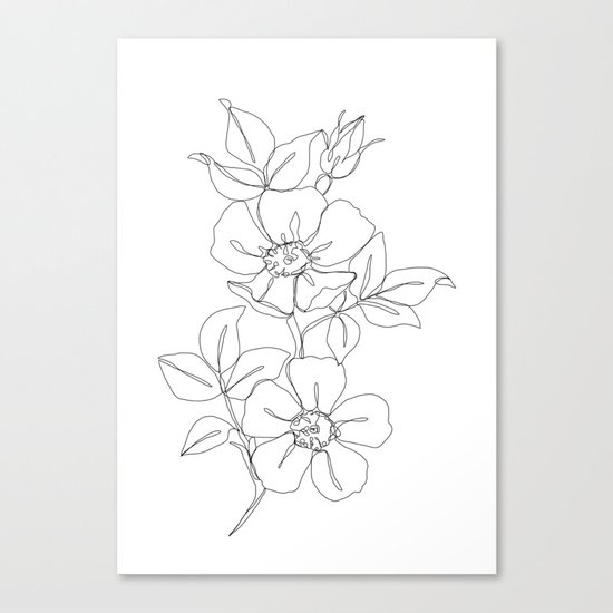Floral One Line Drawing Rose Canvas Print By Thecolourstudy Society6