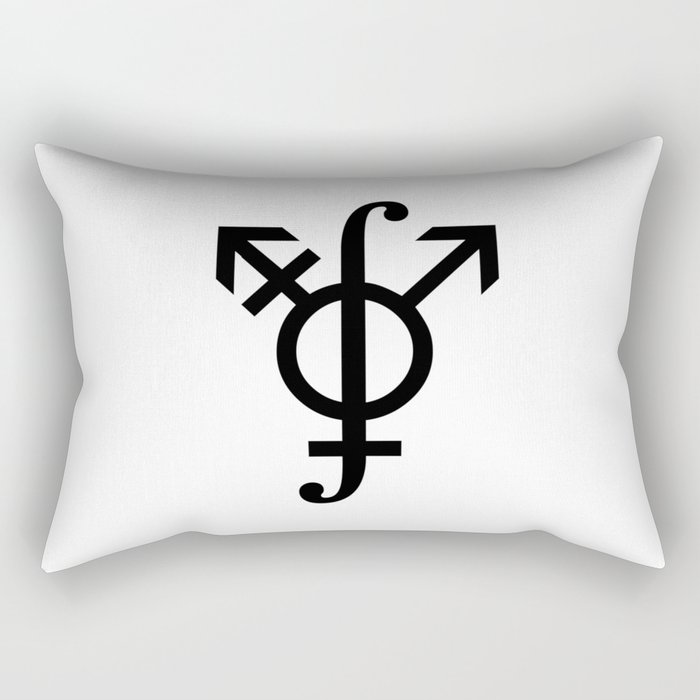 Path Integral on the Gender Manifold Rectangular Pillow