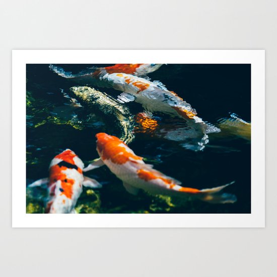 Koi Fish In Water Art Print