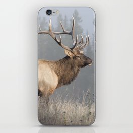 Bull Elk One iPhone Skin