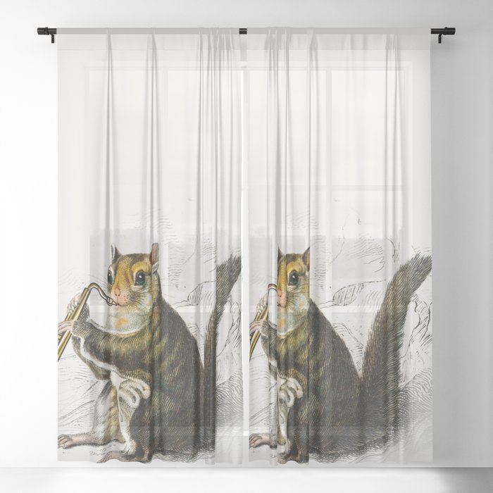 Flying squirrel playing saxophone  Sheer Curtain