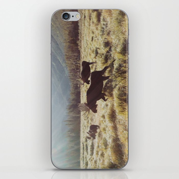 Three Meadow Moose iPhone Skin
