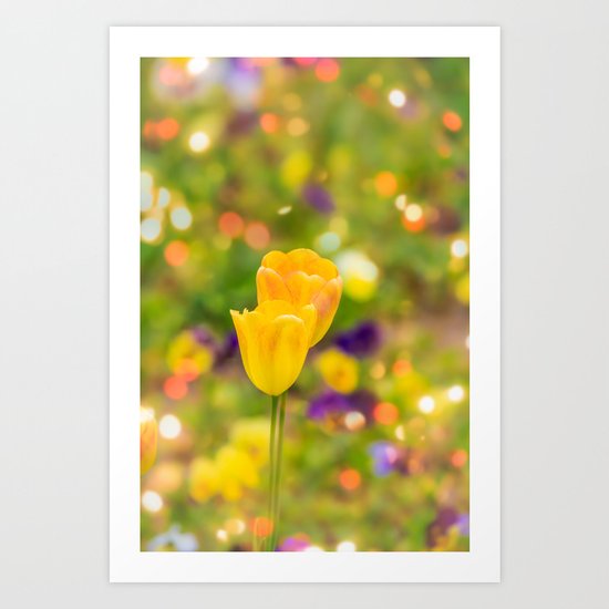 Valentine tulips Art Print