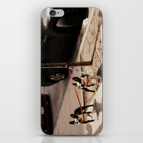 Boston Terriers ~ amped up for action! iPhone & iPod Skin