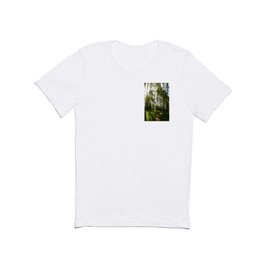Scottish Highlands Spring Light and Shadow Nature Path T Shirt