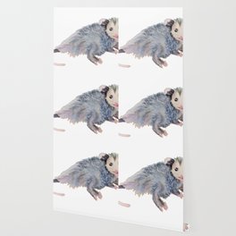 Opossum Wallpaper For Any Decor Style Society6