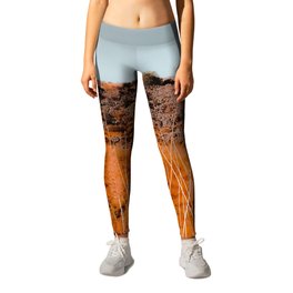 Closeup blooming grass flowers with blue sky background Leggings