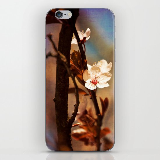 Pink Bloom iPhone & iPod Skin