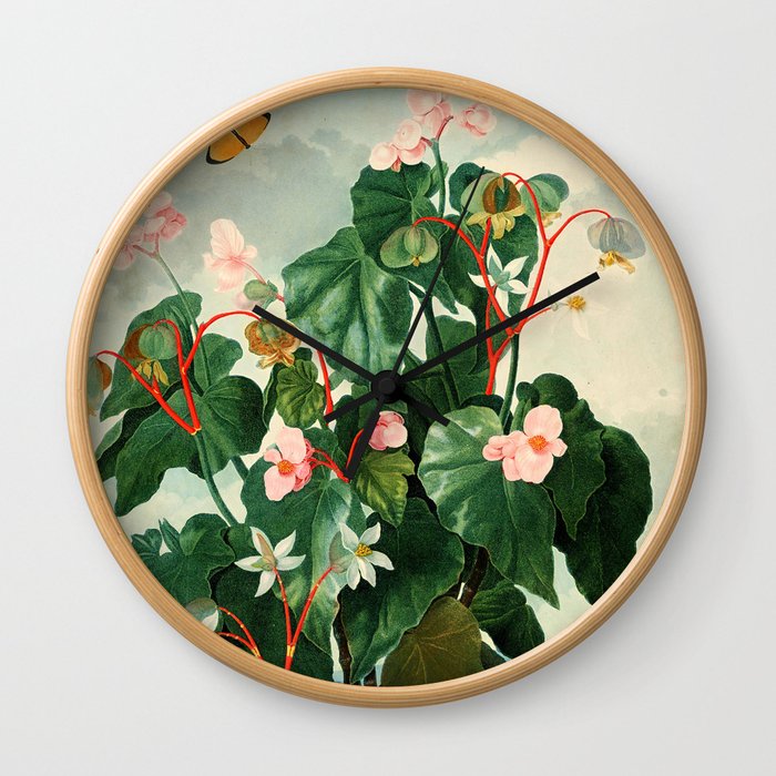 Pink Floral The Oblique-Leaved Begonias : Temple of Flora Wall Clock