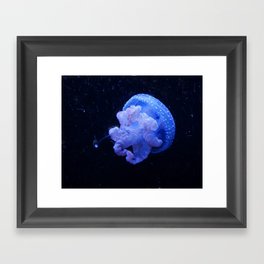 Jelly Fish in Oil Framed Art Print