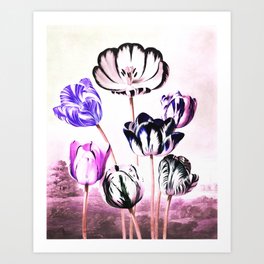 Lavender Mauve Tulips : Temple of Flora Art Print