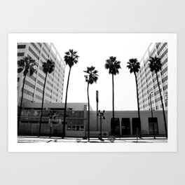 Palm Trees #387 Art Print