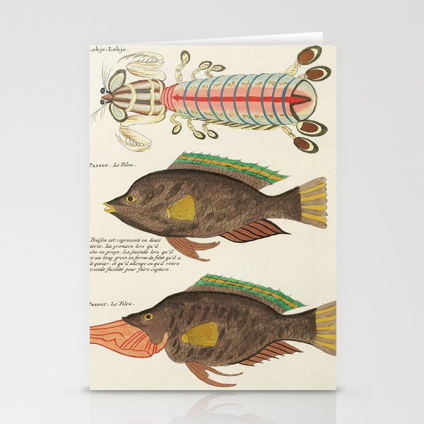 fish Stationery Cards