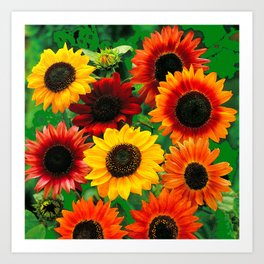 VARIED BLOOMING SUNFLOWERS FIELD ART Art Print | Ink, Pattern, Acrylic, Abstract, Digital Manipulation, Kansasflowers, Colored Pencil, Watercolor, Flowers, Southwestflorals 