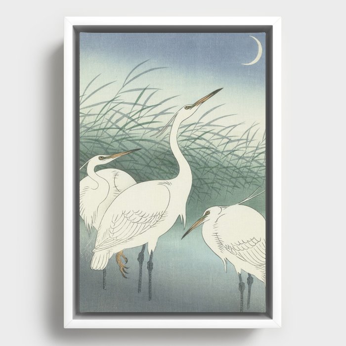 Herons in Shallow Water, Ohara Koson, 1934 Framed Canvas