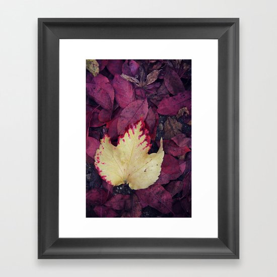 Vibrant Framed Art Print