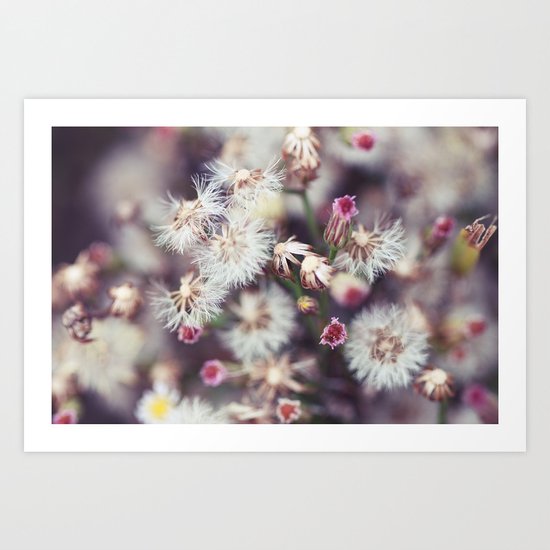 Beautifully Chaotic Art Print