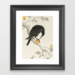 Crow eating persimmon Fruit - Vintage Japanese Woodblock Print Art Framed Art Print