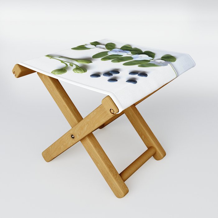 blue and green Folding Stool