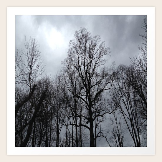 Winter Storm Art Print