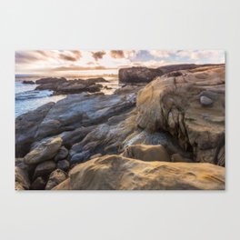Point Lobos II Canvas Print