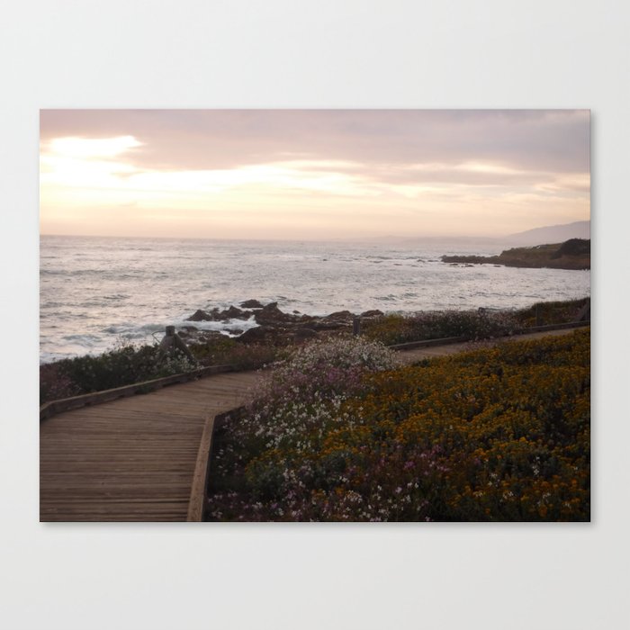 On the right path - Wildflowers bloom for those in love Canvas Print