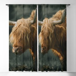 Scottish Highland Cow | Scottish Cattle | Cute Cow | Cute Cattle 04 Blackout Curtain