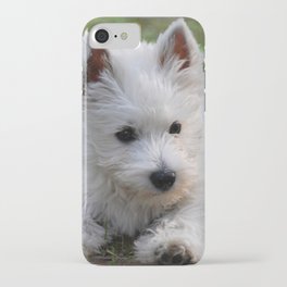 Westie puppy iPhone Case