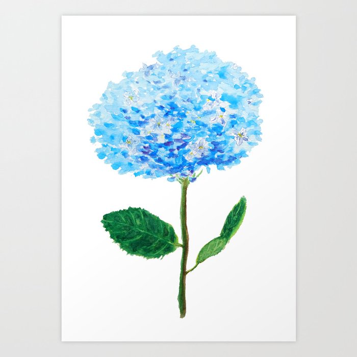 Abstract Blue Hydrangea Watercolor Art Print By Colorandcolor