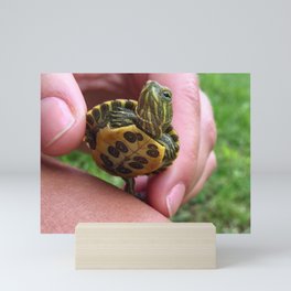 Baby red-eared slider turtle Mini Art Print