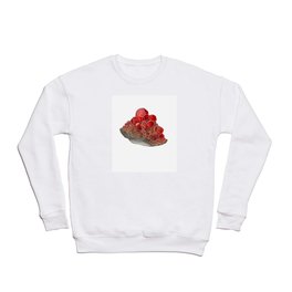 Garnet- January birthstone crystal gemstone specimen painting Crewneck Sweatshirt