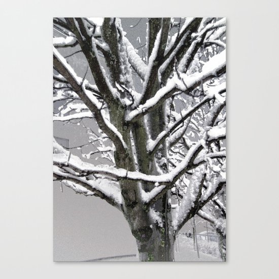 Every Tree a Sculpture Canvas Print
