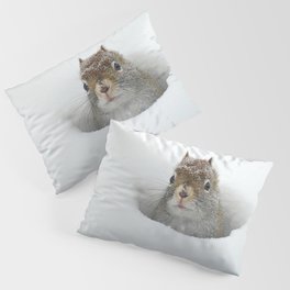 Pop-up Squirrel in the Snow Pillow Sham