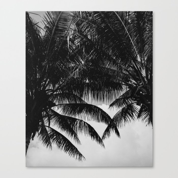 Palms of Kauai Canvas Print