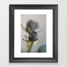 A black Rose for your Sweetheart