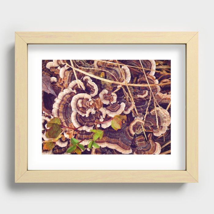 Mushroom Honeymoon Recessed Framed Print