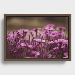 The Beauty of Clutter Framed Canvas