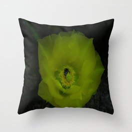 The Flower and the Bee Throw Pillow