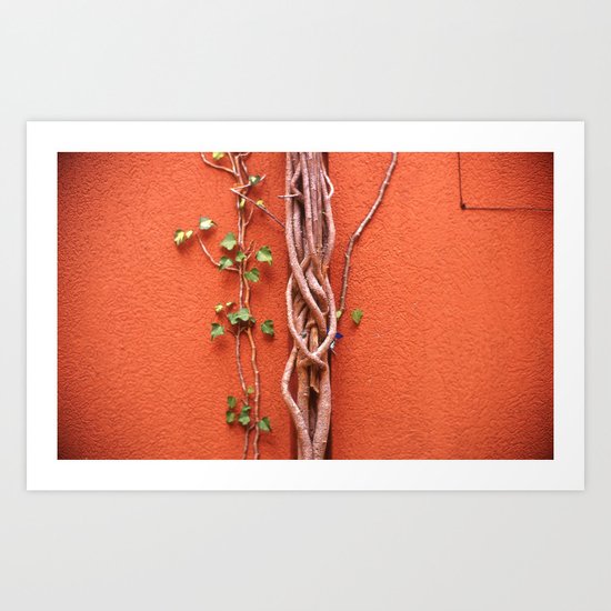 Roots Art Print